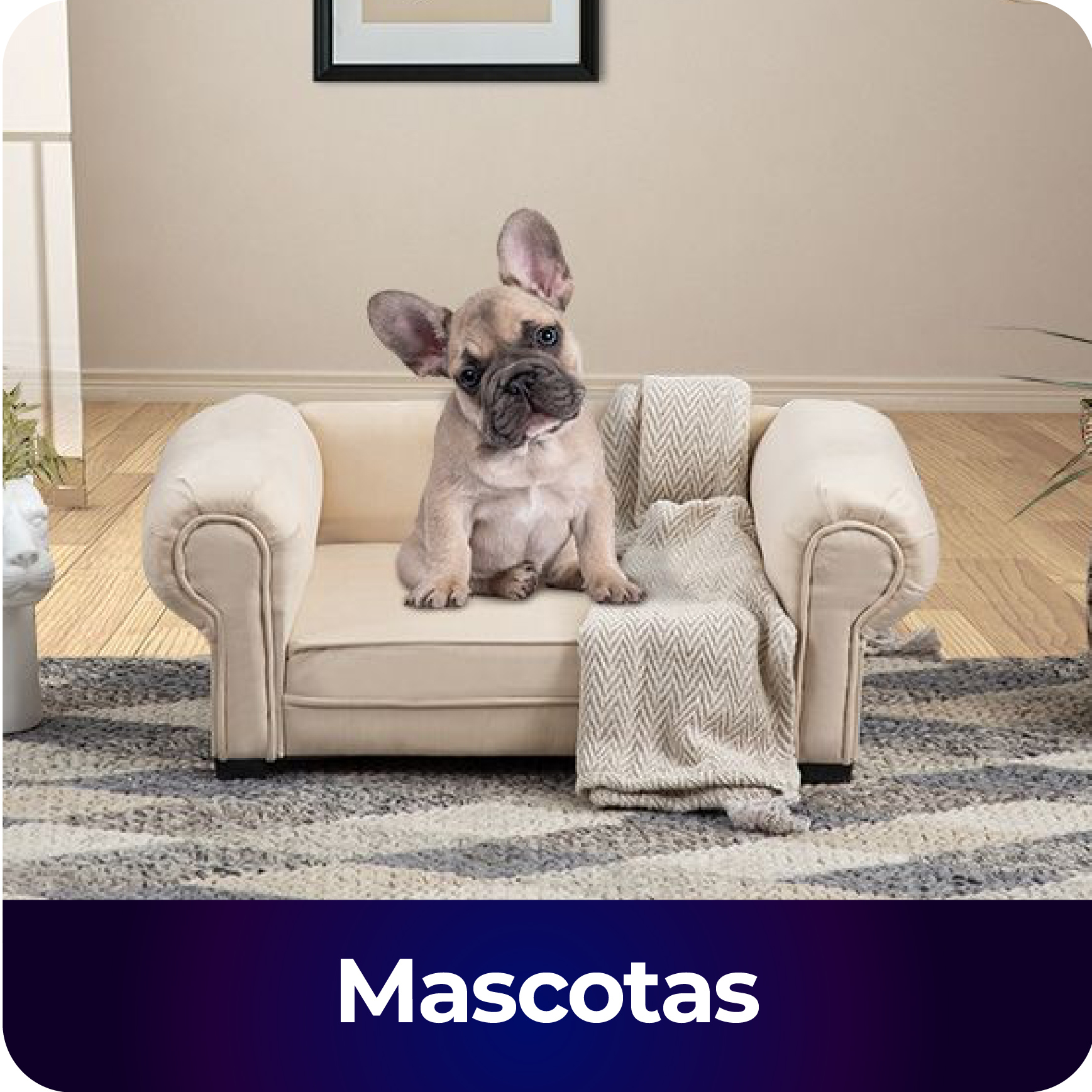 02_Dic_Cyber_Day_Mascotas_10