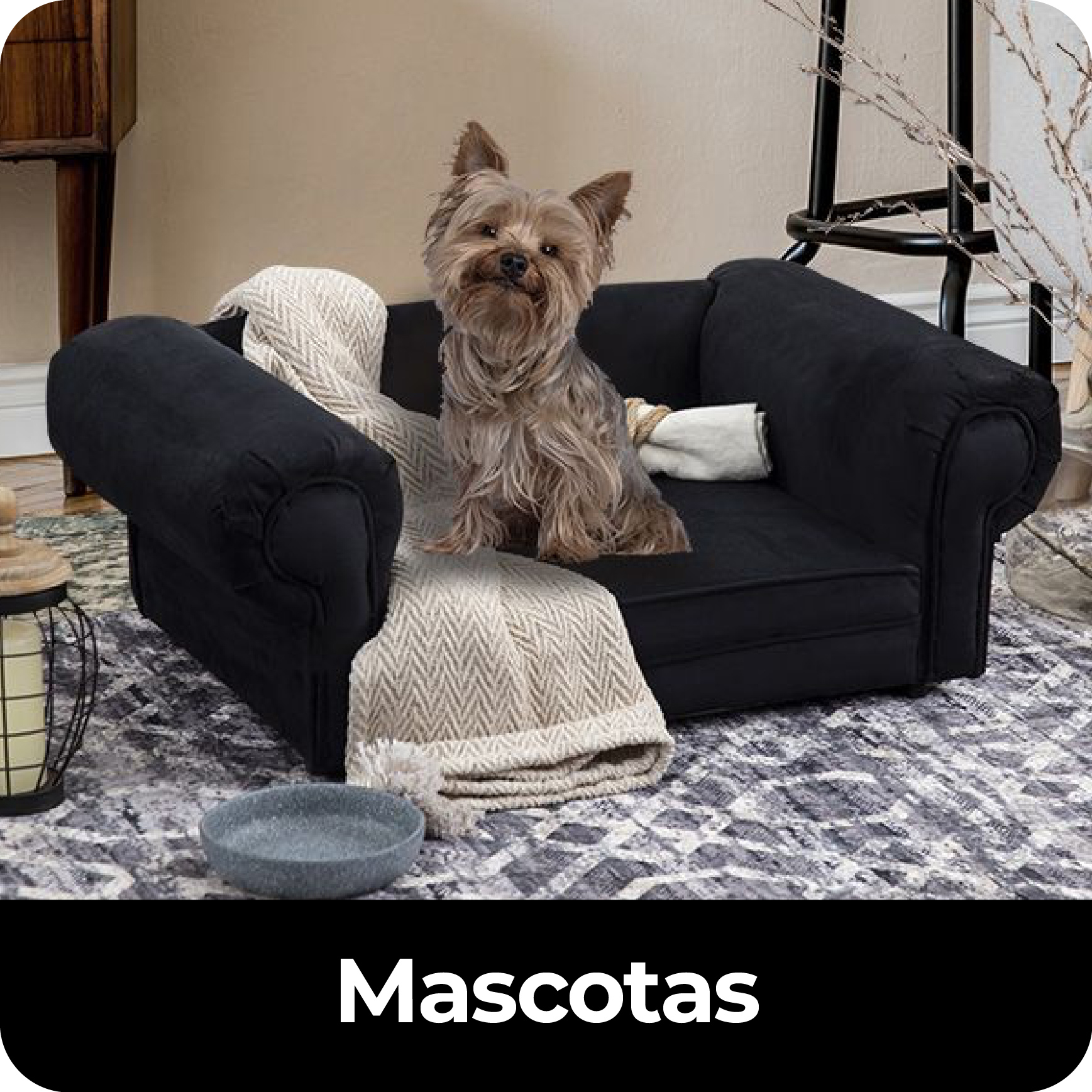 29_Nov_Black_Days_Mascotas_10