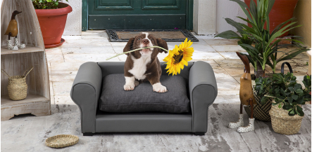 Cama Para Mascota Pet Fido