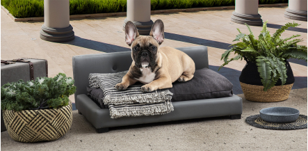 Cama Para Mascota Pet Frida