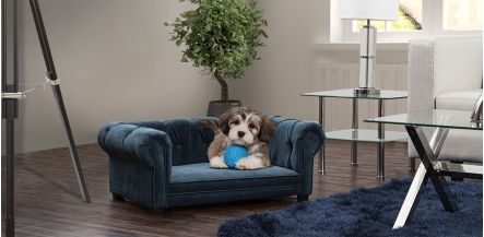 Cama Para Mascota Pet New Cantabria Navy