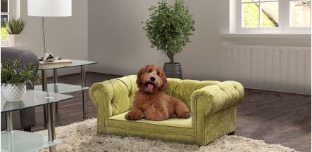 Cama Para Mascota Pet New Cantabria Pistache