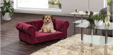 Cama Para Mascota Pet New Cantabria Vino