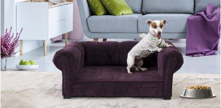 Cama Para Mascota Pet New Cantabria Morado