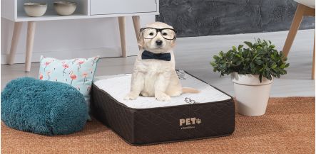 Colchón Firme Pet Bambino Café