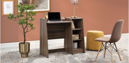 Escritorio Joy Parota    