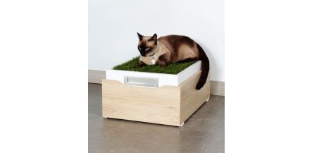 Cama Para Mascotas Zora Madera Blanco