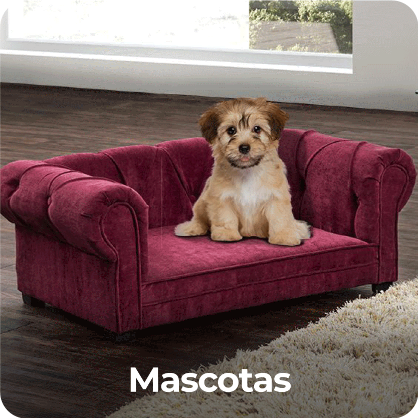 mascotas_2