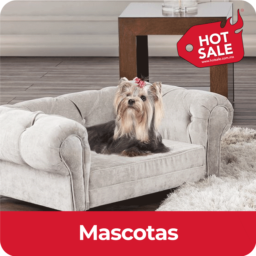 mascotas_4