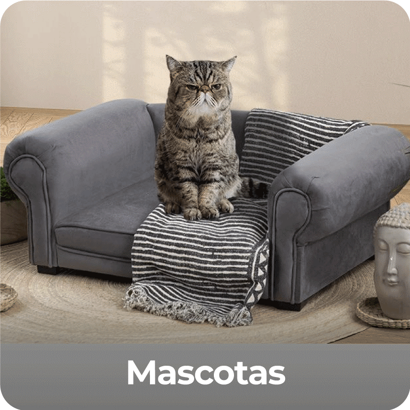 mascotas_5